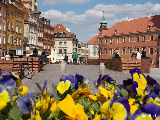 Warszawa. Plac Zamkowy.