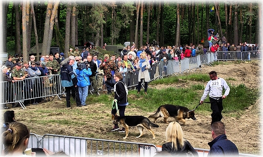 Poligon Rakw- Operacja Zachd 2014