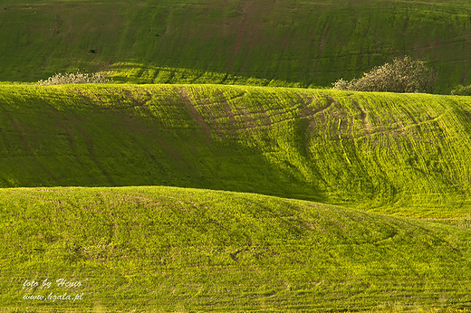 Morawskie klimaty na Suwalszczynie 1