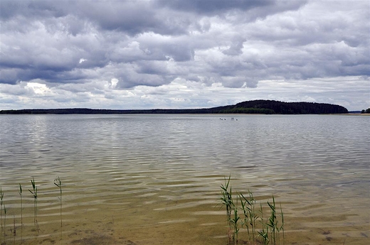 Jezioro Wigry, Zatoka Piaski, pochmurno