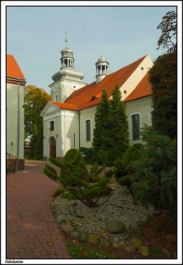 Odolanw - pnobarokowy koci farny pw. w. Marcina