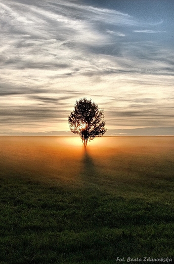 Podlasie we mgle