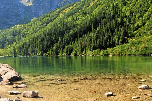 Morskie Oko 7