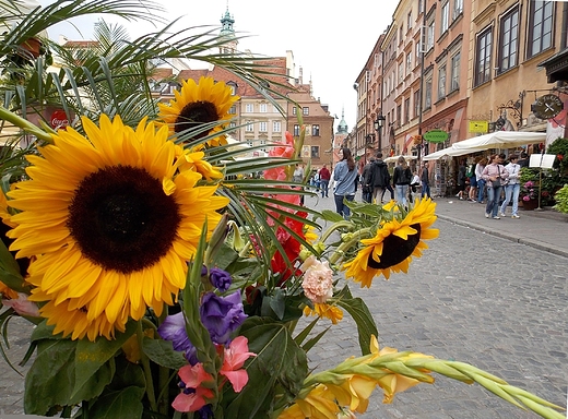 Warszawa. Na Starwce.