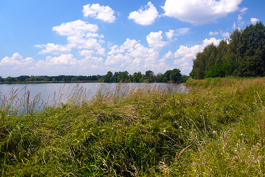 Goczakowice-Zdrj. Tereny wok uzdrowiska.