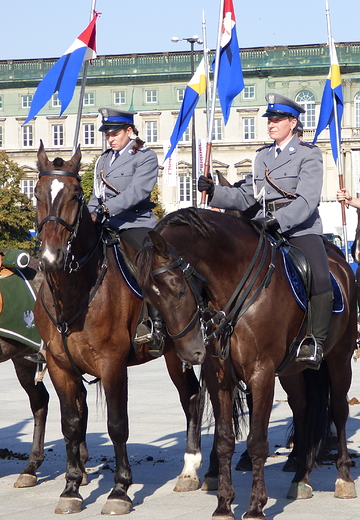 Warszawa, Swito Kawalerii Polskiej, 6 IX 2014.