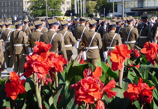 Warszawa, Swito Kawaleri Polskiej, 6 IX 2014.