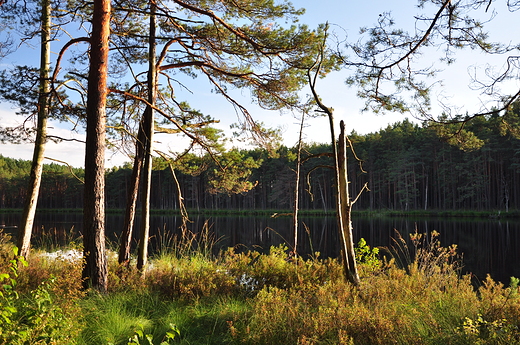 Wieczorem nad Jez. lepiec