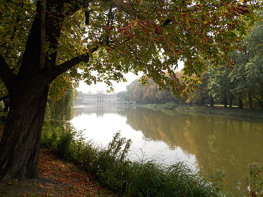 Warszawa. Wrzesie w azienkach.