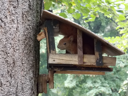 Warszawa. Wrzesie w Parku Skaryszewskim.