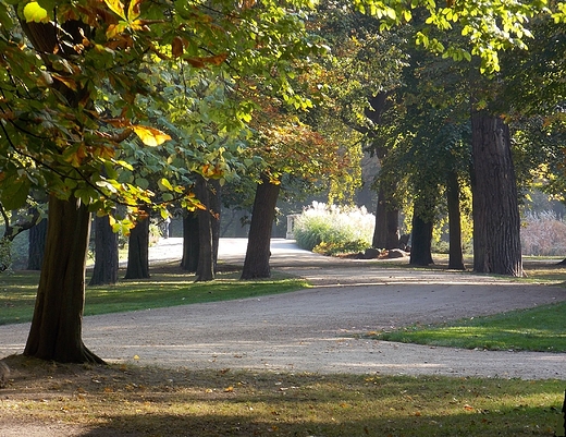 Warszawa. Padziernik w azienkach.