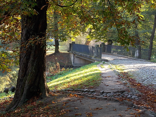 Warszawa. Padziernik w azienkach.