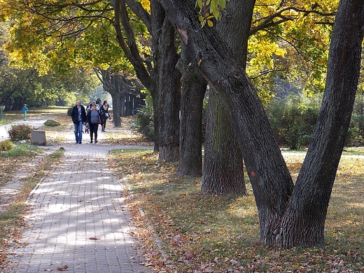 Warszawa. Padziernik w Parku Szczliwickim.