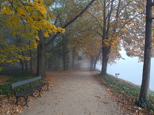 Warszawa. Jesienny poranek w azienkach.