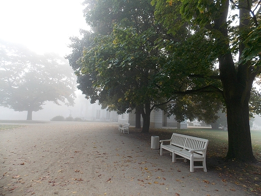 Warszawa. Jesienny poranek w azienkach.