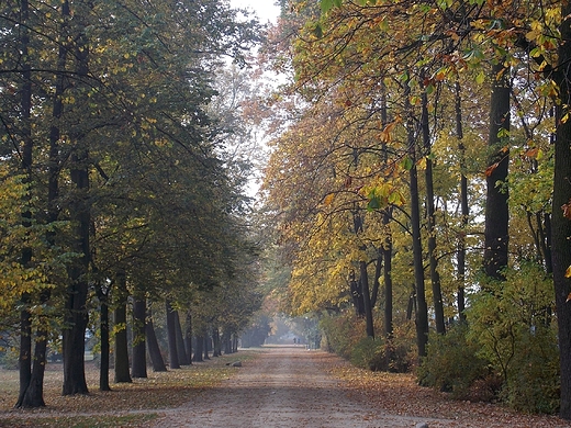 Warszawa. Jesienny poranek w azienkach.