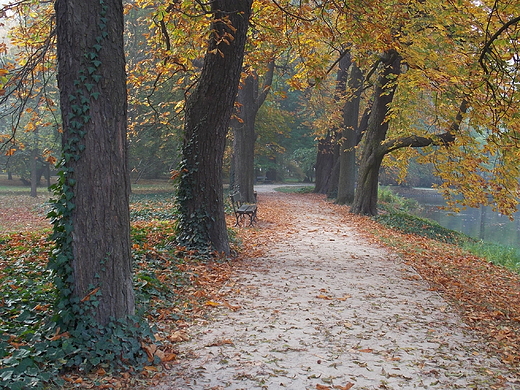 Warszawa. Jesienny poranek w azienkach.