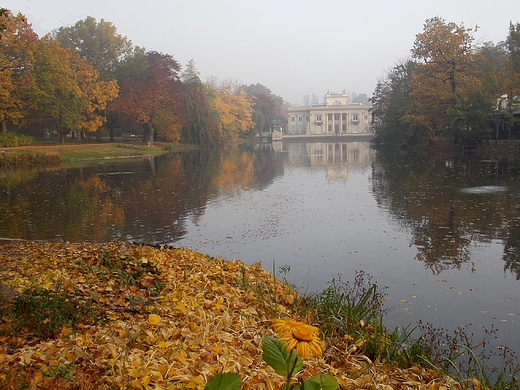 Warszawa. Jesienny poranek w azienkach.