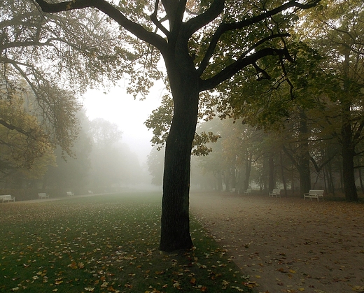 Warszawa. Jesienny poranek w azienkach.