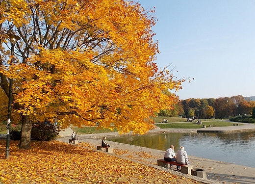 Warszawa. Jesie na Polu Mokotowskim.