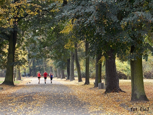 Warszawa. Jesie w Parku Skaryszewskim.