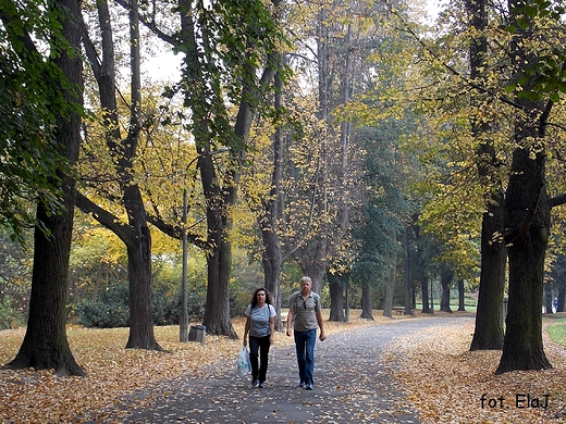 Warszawa. Jesie w Parku Skaryszewskim.