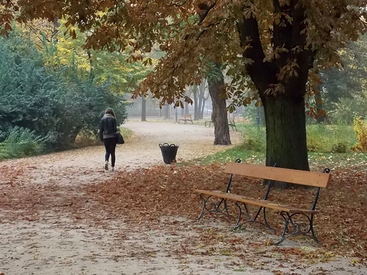 Warszawa. Jesie w Ogrodzie Krasiskich.