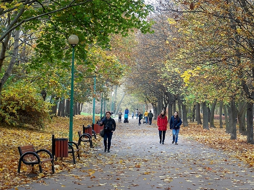 Warszawa. Jesie na Szczliwicach.