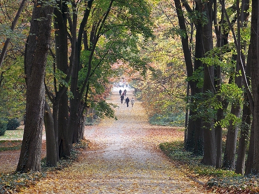 Warszawa. Niedziela w azienkach.