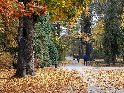 Warszawa. Niedziela w azienkach.