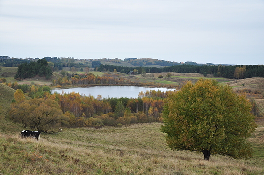 Jezioro Linwek, Suwalski PK