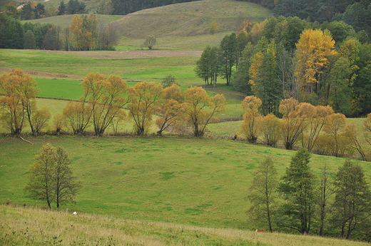 Wodziki, Suwalski PK