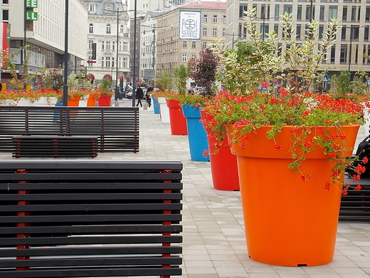 Warszawa. Doniczkowo na Placu Powstacw Warszawy.