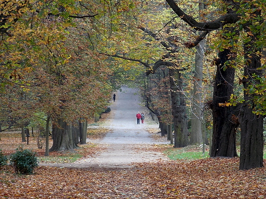 Warszawa. Jesie w azienkach.