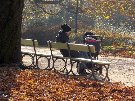 Warszawa. Jesie w Parku Ujazdowskim.