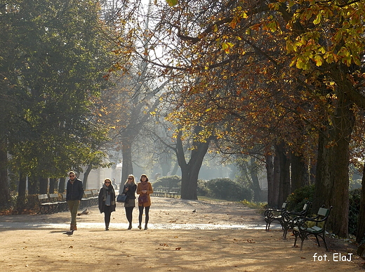 Warszawa. Jesie w azienkach.