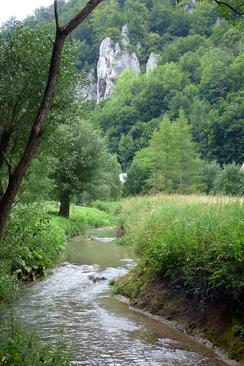 Dolina Prdnika.