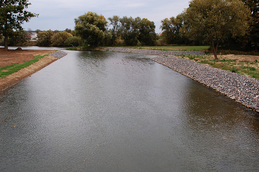 Krapkowice - Ujcie Osobogi do Odry 2012.10