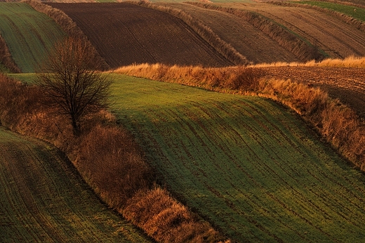 Liopad. Roztocze, Antoniwka