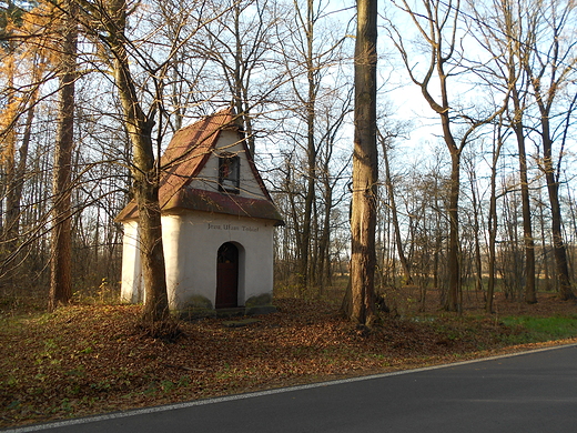 Gdzie w kobirskich lasach