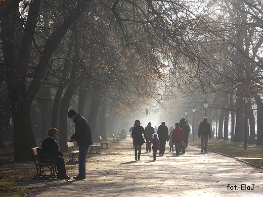 Warszawa. Listopadowa niedziela w Al. Ujazdowskich.