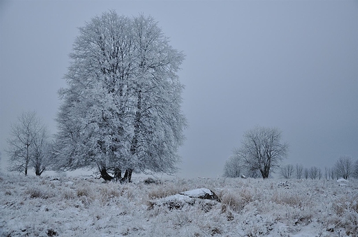 Na gazowisku Rutka, Suwalski PK