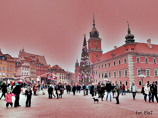 Warszawa ju witeczna. Plac Zamkowy.