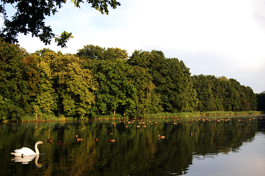 Moszna - Jezioro