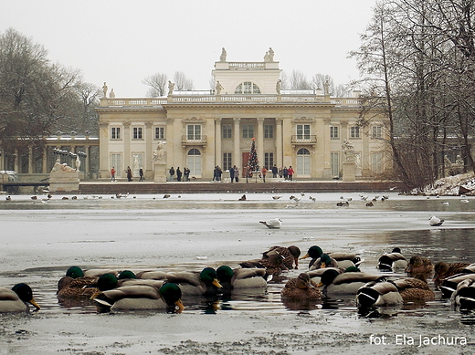 Warszawa. Paac azienkowski zim.