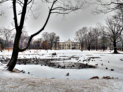 Warszawa. Ogrd Krasiskich zim.