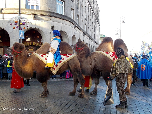 Warszawa. wito Trzech Krli.