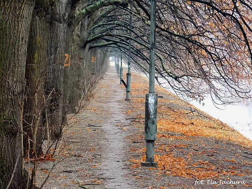 Warszawa. Aleja J. Kusociskiego.