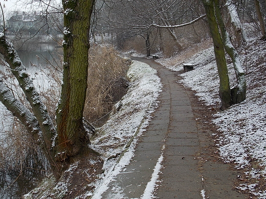 Warszawa. Park Szczliwicki zim.