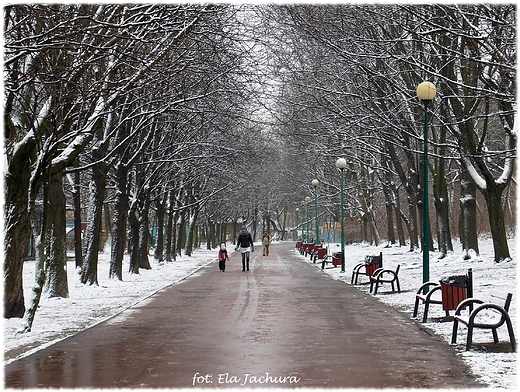 Warszawa. Park Szczliwicki zim.